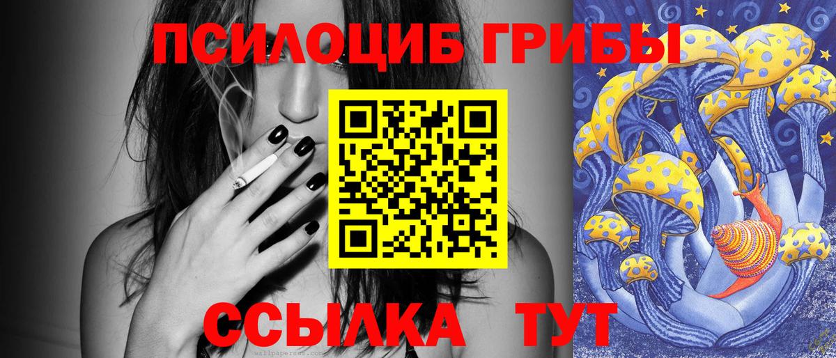 Псилоцибиновые грибы Magic Shrooms Петрозаводск