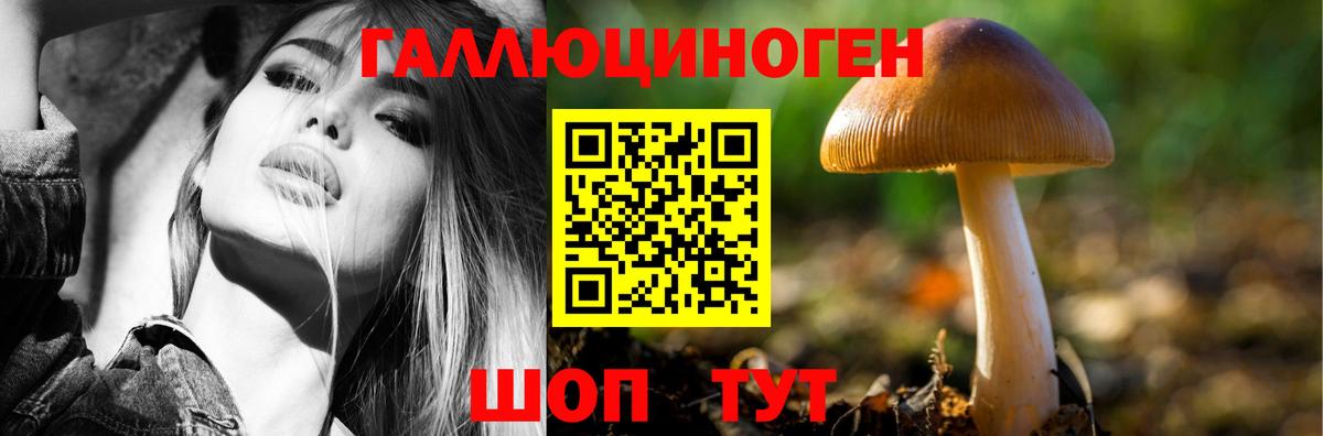 магазин    Псилоцибиновые грибы Psilocybine cubensis  Вход с VPN  Петрозаводск 